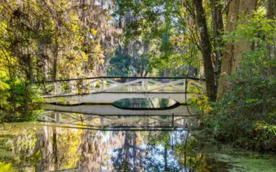 Is West Ashley A Good Place To Live In South Carolina? [Moving To West Ashley Guide]