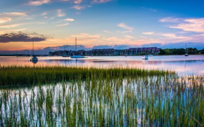 Moving to James Island, South Carolina: Helpful Local Resources for Lowcountry Homeowners